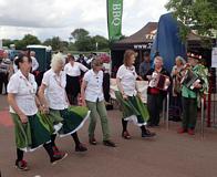 Greenwood Clog